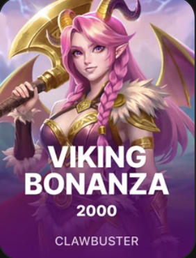 Viking Bonanza 2000 at Duel Casino
